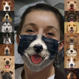 Dogs